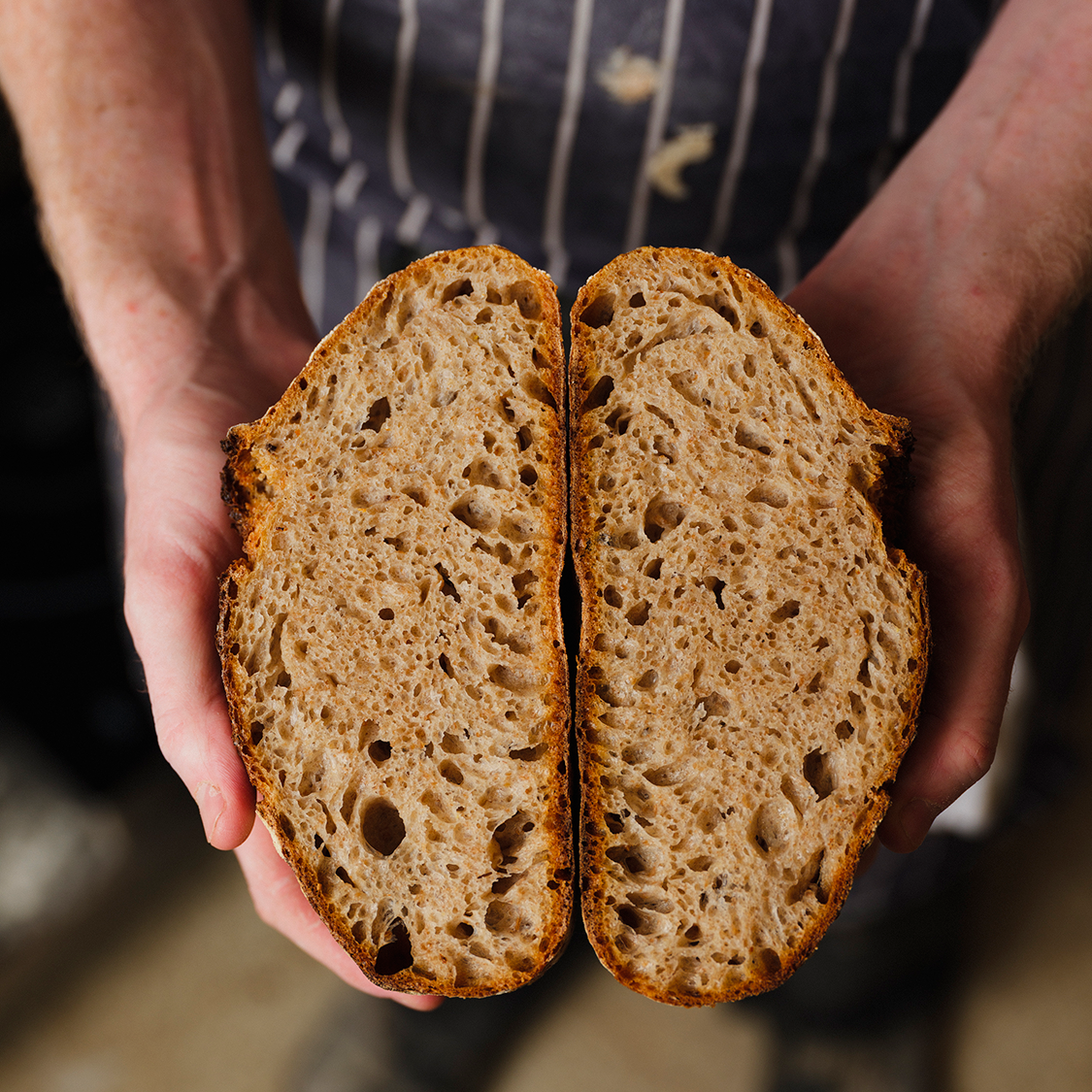 WILDFARMED LIGHT BROWN FLOUR T110