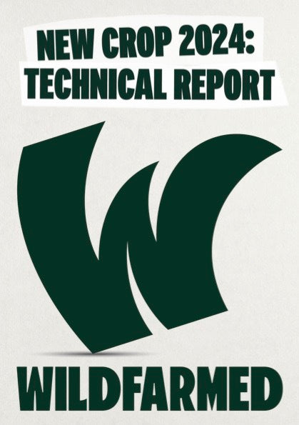New Crop 2024: Technical Report